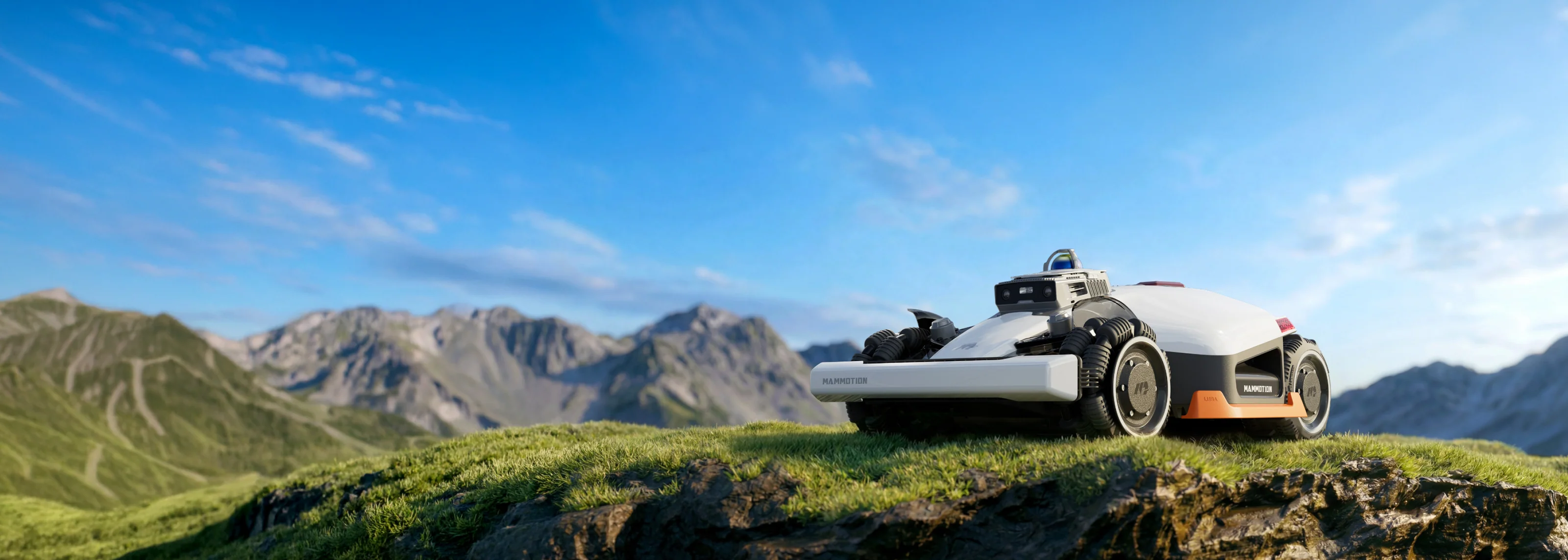 Il Prato Perfetto Senza Fatica